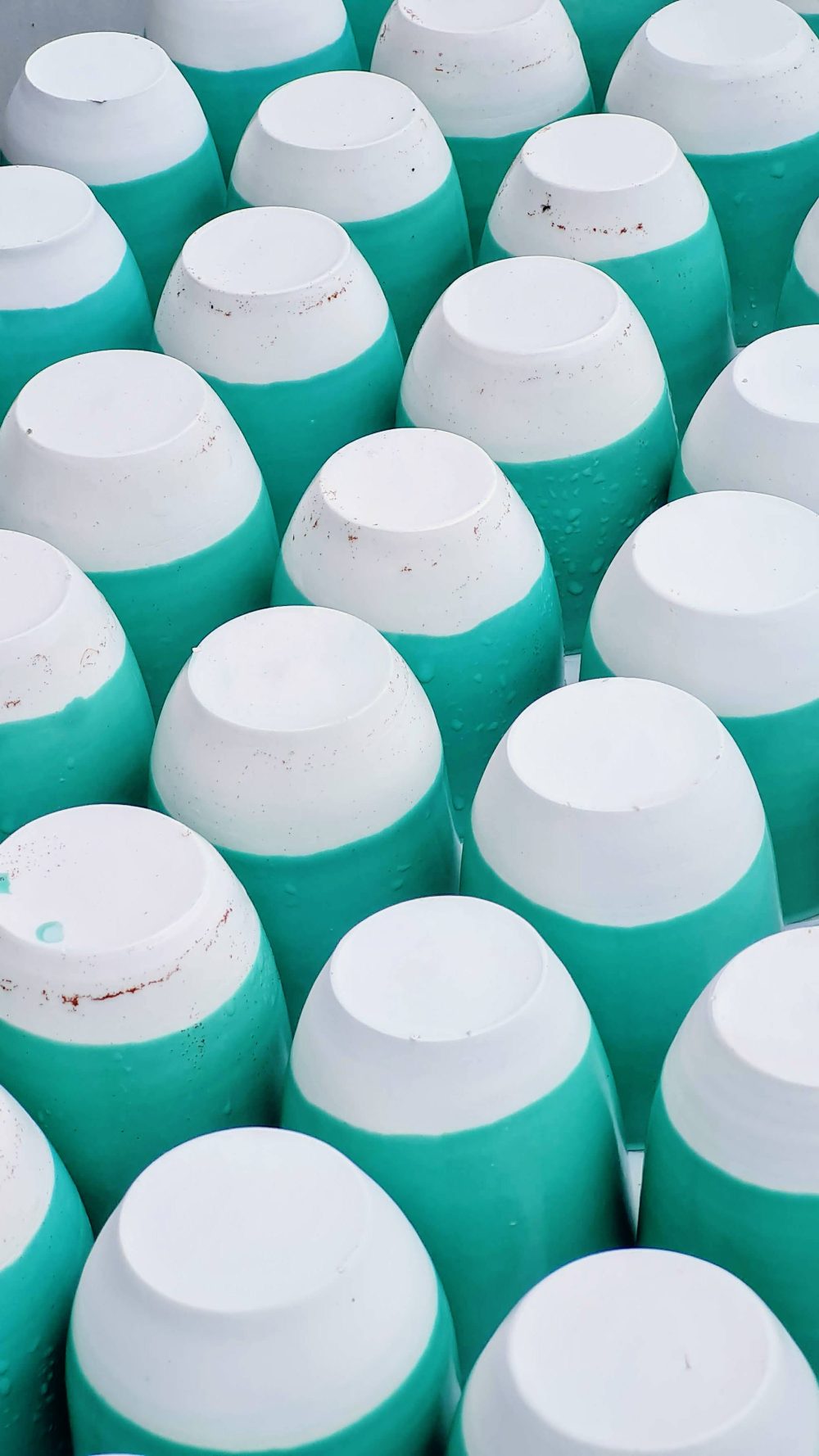 original_156f959c-4a76-4217-941e-90b1dddf833f_20210303_130142